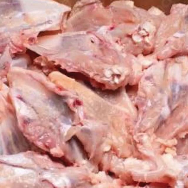 Chicken Back Bone