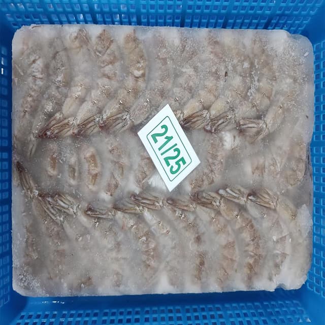 Prawn 21/25 ( Block)