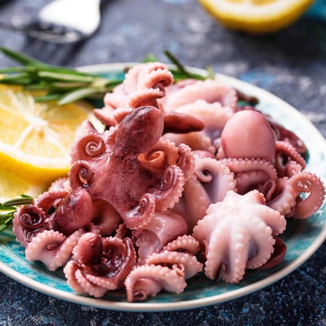 Octopus