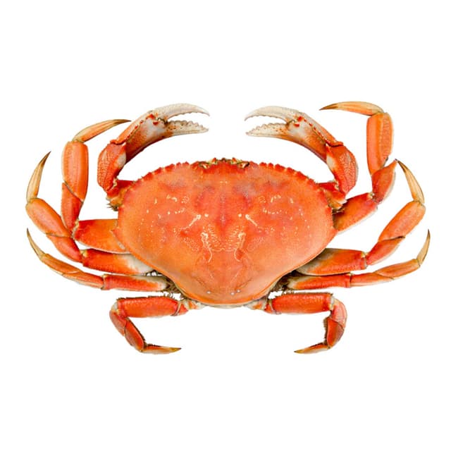 Whole Crab